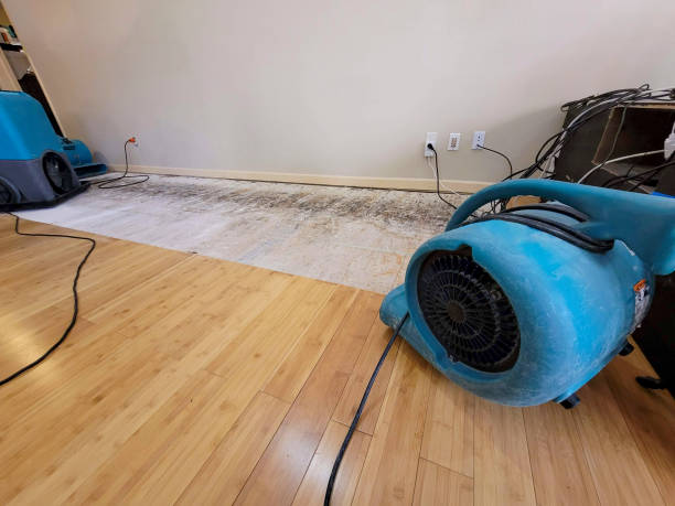 Professional Structural Drying technician working in Bellaire, TX